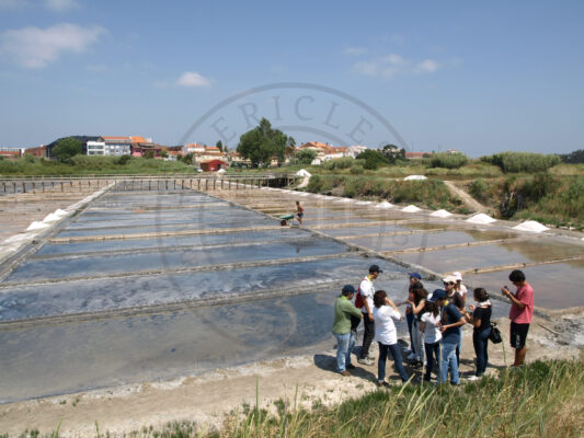 Environmental activity with students during Campus Junior (Santiago da Fonte saltpans - owned and managed by the University of Aveiro, Aveiro municipality, Ria de Aveiro region)