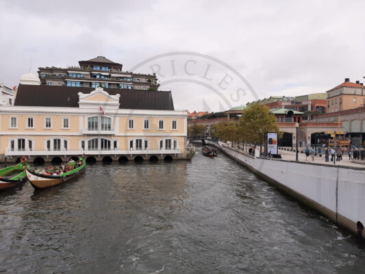 In the past, moliceiro boats were used for seaweed harvesting. Nowadays, these boats are no longer used for this activity and are used for touristic tours in the urban canals.