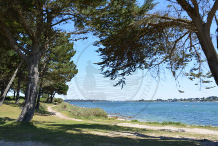 B1 - Coastal path at Ker Penhir - Locmariaquer (Gulf of Morbihan, Brittany) - Sybill HENRY