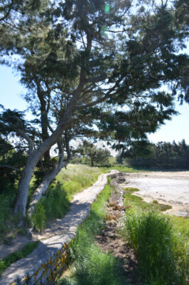 B1 - Coastal path at Saint-Pierre - Locmariaquer (Gulf of Morbihan, Brittany) - Sybill HENRY