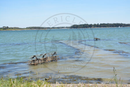 B1 - Oyster parks 2 - Locmariaquer (Gulf of Morbihan, Brittany) - Sybill HENRY