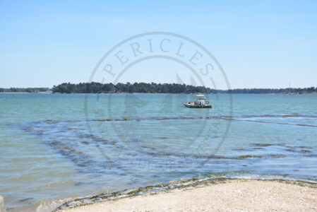 B1 - Oyster parks - Locmariaquer (Gulf of Morbihan, Brittany) - Sybill HENRY