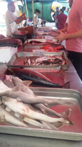 Fish Market