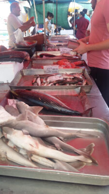 Fish Market