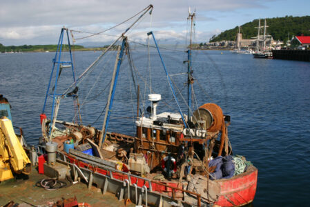 Fishing_ObanHarbour_July2014 (1)