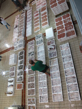 Kavala fish auction house, Greece