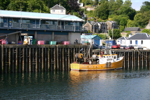 Oban_July2014 (1)